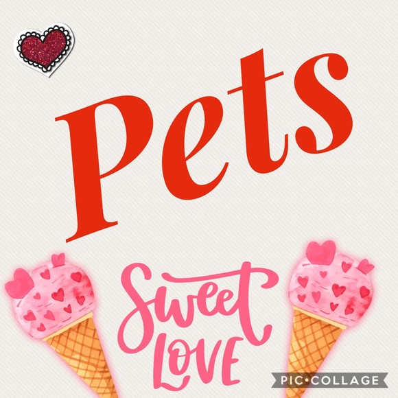 🐾🐈‍⬛🐩🐾 PETS 🐾🐱🐶🐾 - Picture 1 of 1